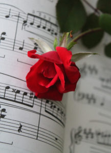 Roses and music